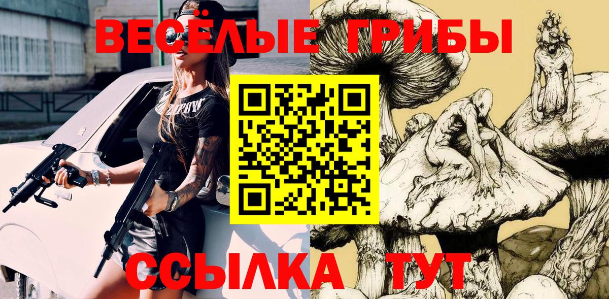 Псилоцибиновые грибы GOLDEN TEACHER  Псилоцибиновые грибы GOLDEN TEACHER  Вход с VPN  Благовещенск 